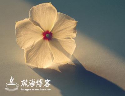 �����и��µĿ�ʼ�����������Ƿ���ȥ����һ����������еģ�лл���й����ҵ��ˣ���������ã���л����!